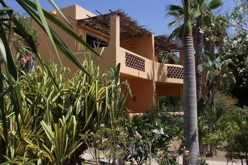 Hotel Posada La Poza Todos Santos Bilik gambar