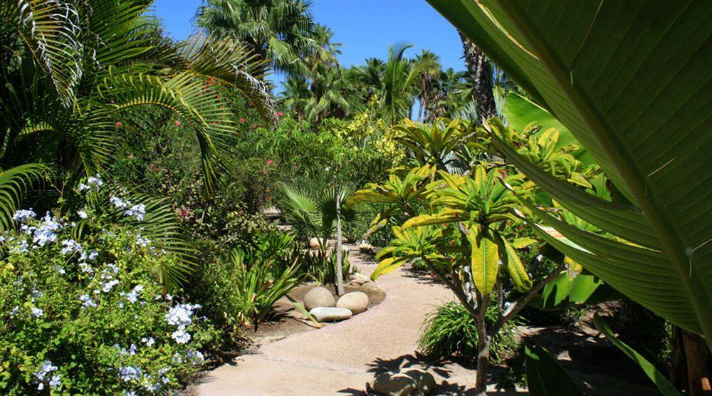 Hotel Posada La Poza Todos Santos Luaran gambar