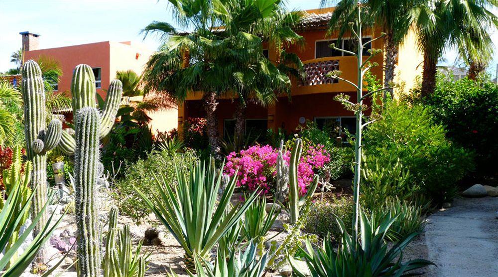 Hotel Posada La Poza Todos Santos Luaran gambar